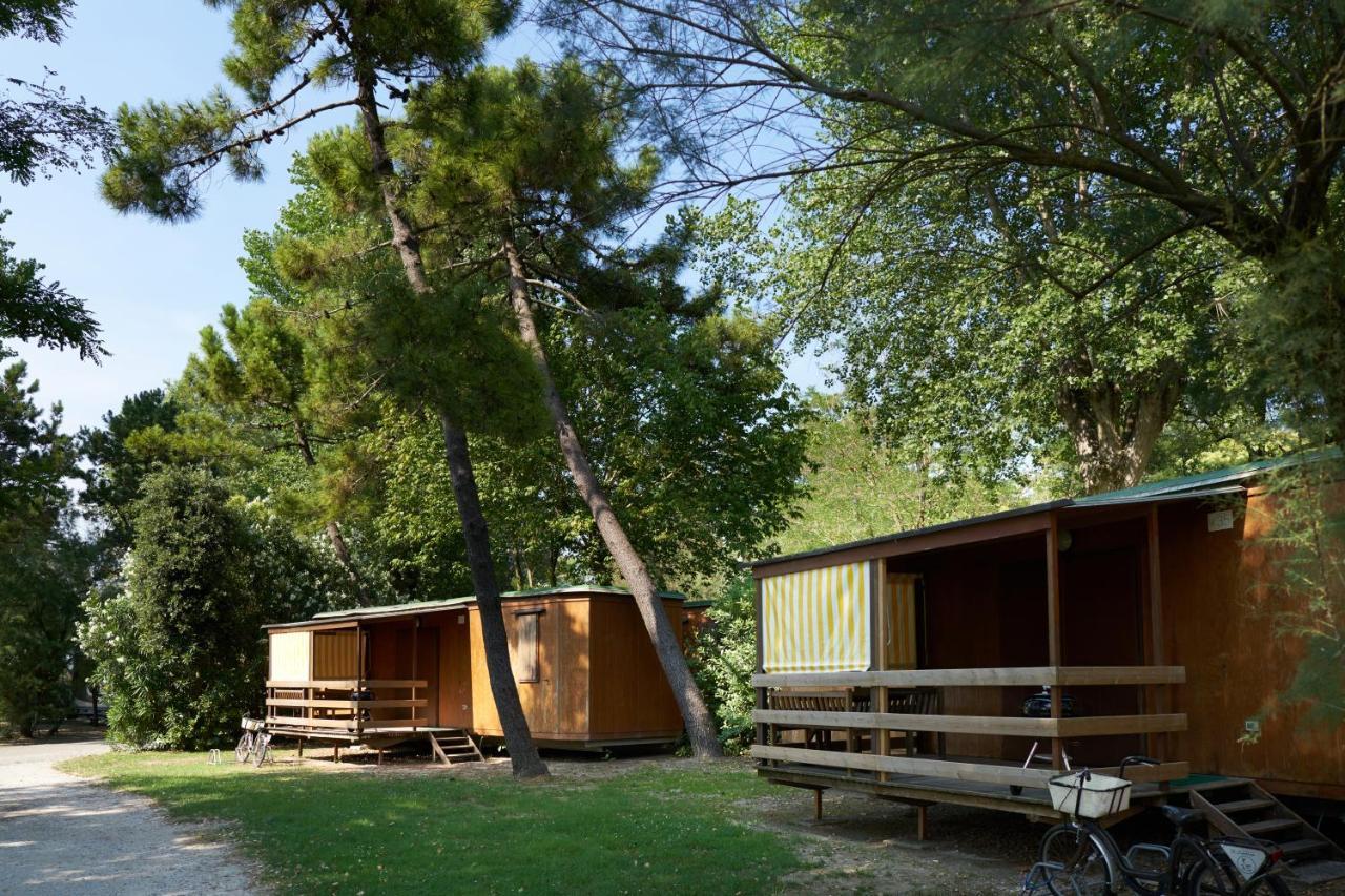 Basic Mobile Home,769839985:JPEG