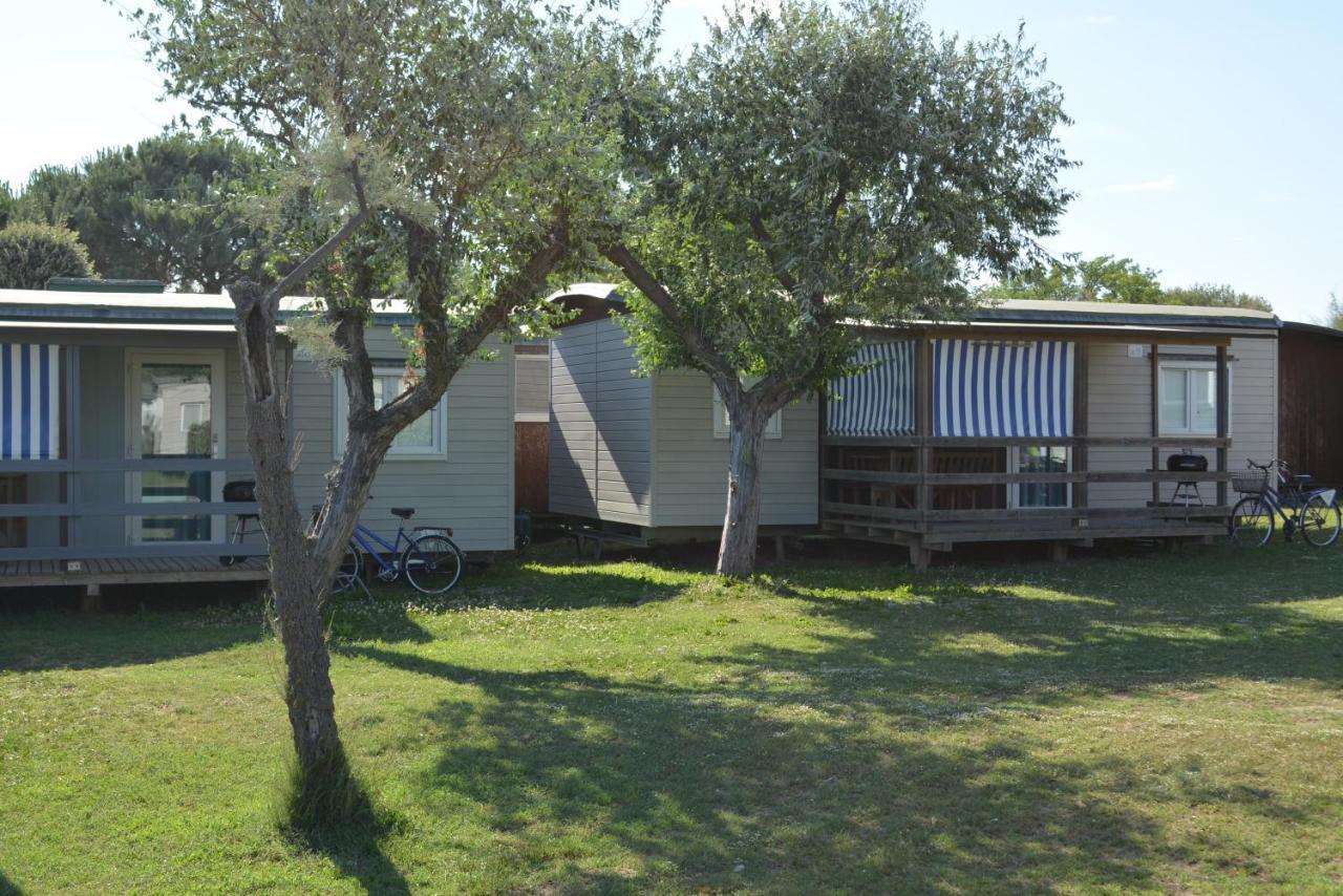 Deluxe Mobile Home,768275761:JPEG